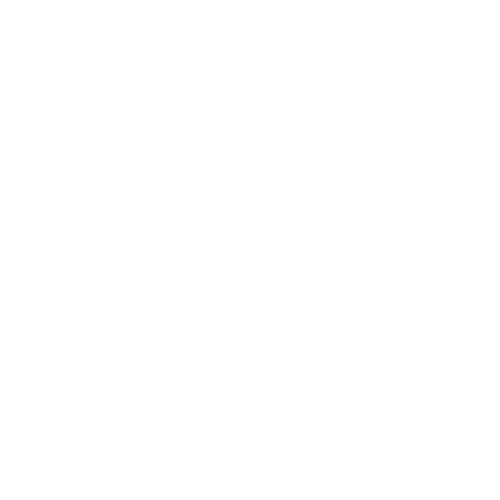 logo-clever-blanco